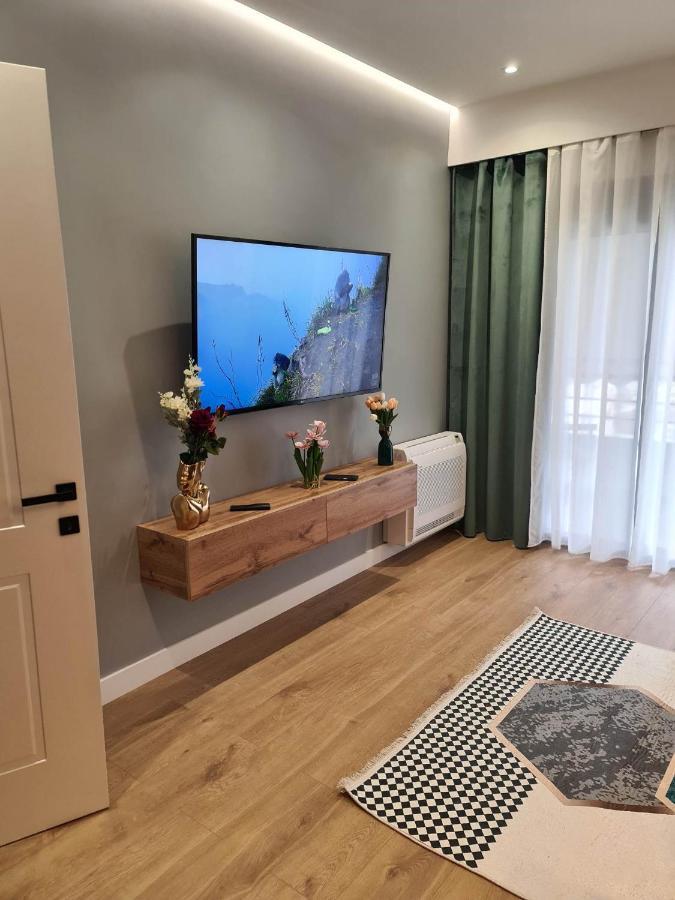 Grey Luxury Apartment Gjirokastër Extérieur photo