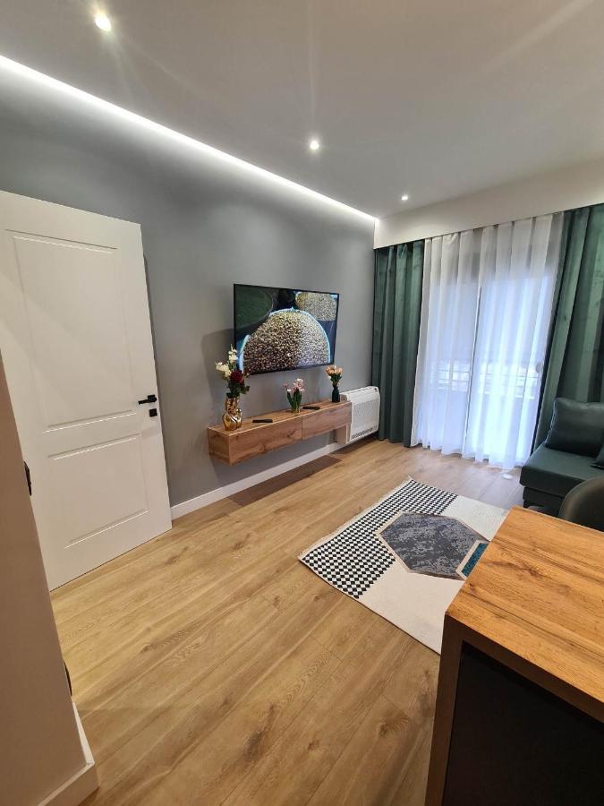 Grey Luxury Apartment Gjirokastër Extérieur photo