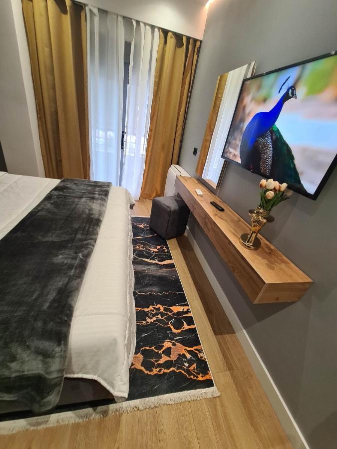Grey Luxury Apartment Gjirokastër Extérieur photo